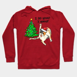 I Do What I want Christmas Cat Hoodie